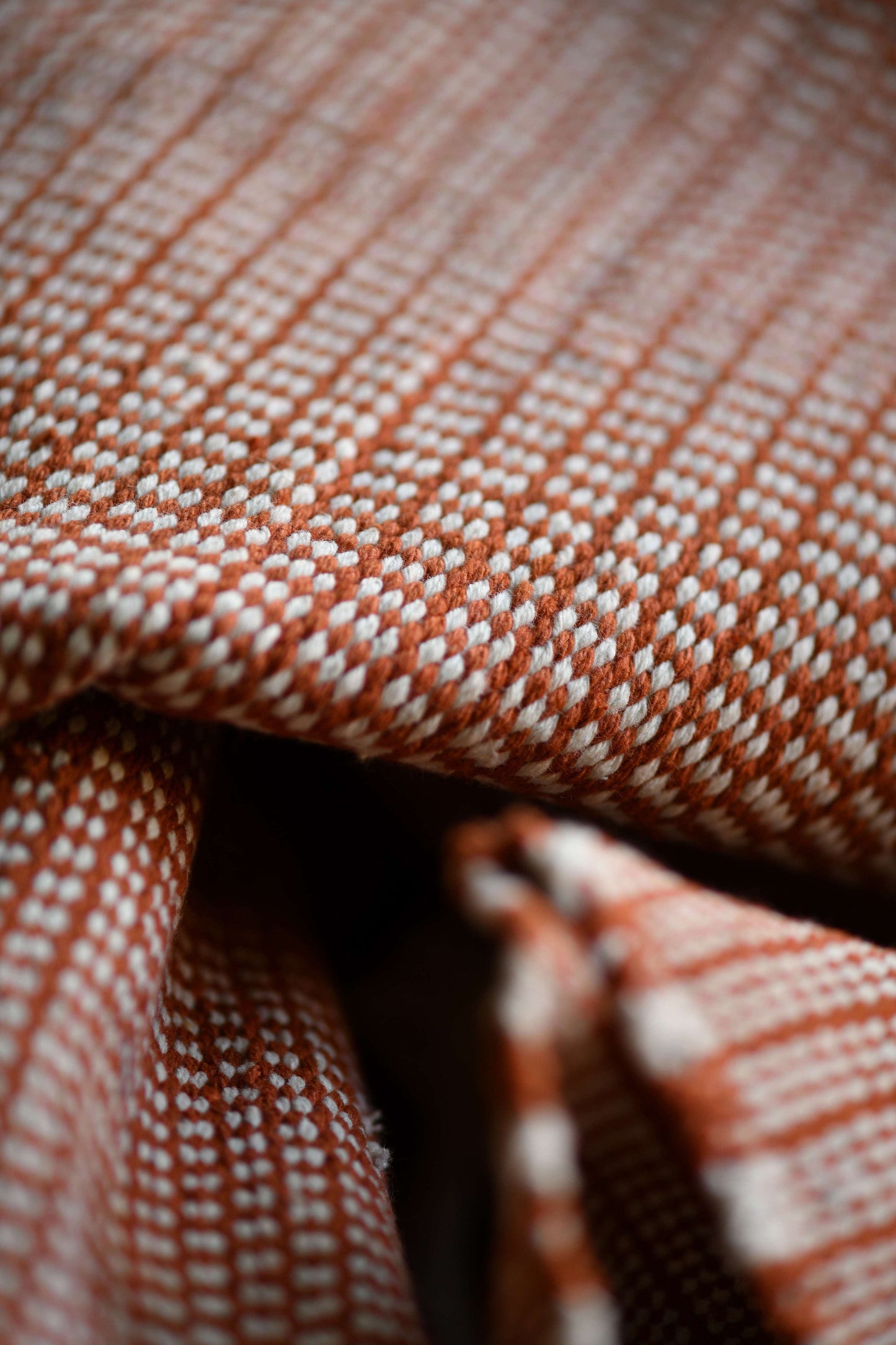 Motion Cotton Kilim Rug