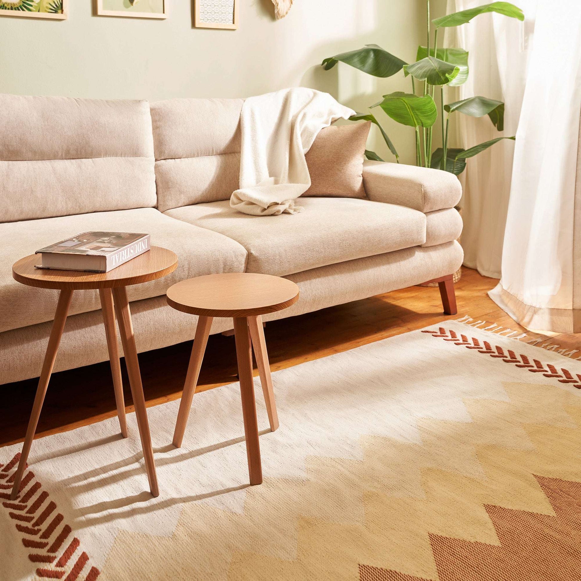 Soumak Cotton carpet