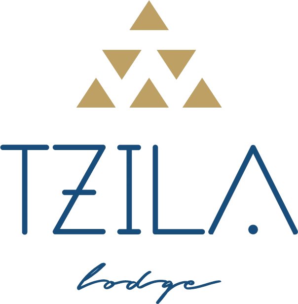 Tzila logo